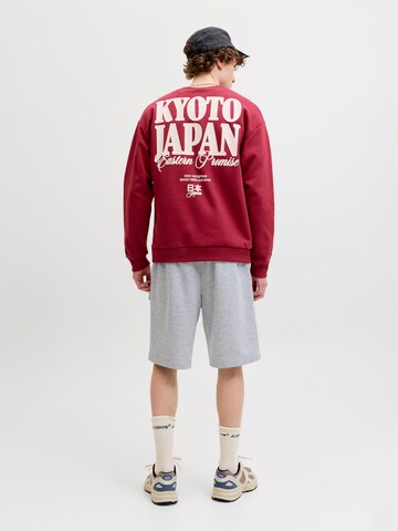 JACK & JONES Loosefit Shorts in Grau