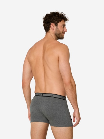 Nur Die Boxer shorts in Grey