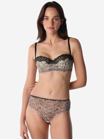 Penti Klasičen Nedrček 'BHs & Bralettes' | mešane barve barva