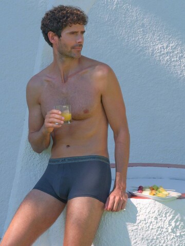 zd ZERO DEFECTS Boxershorts 'Athens Trunk' in Grau