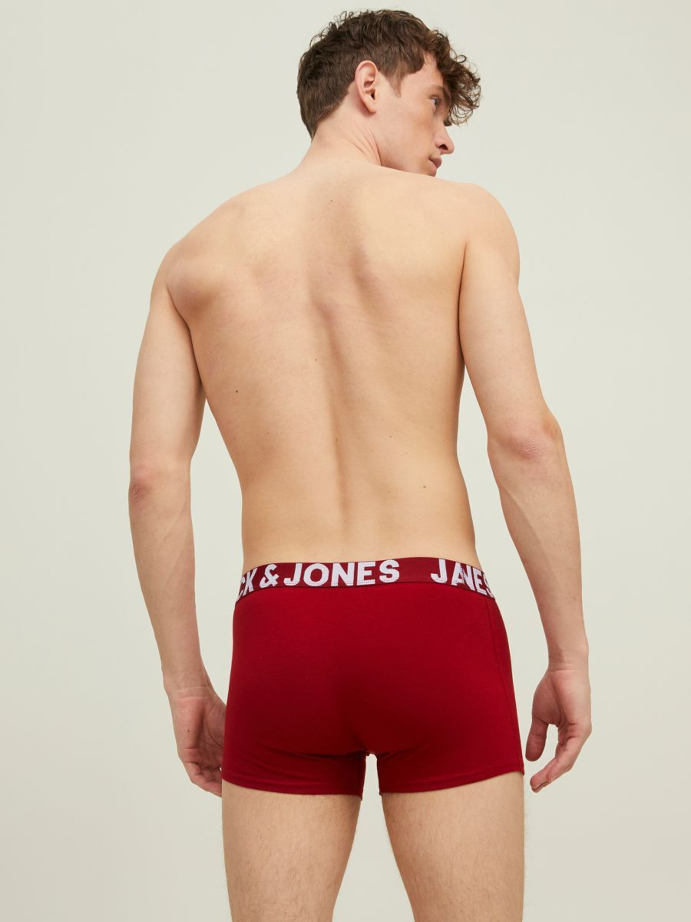 Männer Wäsche JACK & JONES Boxershorts in Mischfarben - WT67548 Männer Wäsche JACK & JONES Boxershorts in Mischfarben - WT67548