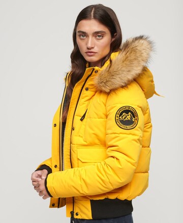 Superdry Winterjas 'Everest' in Geel