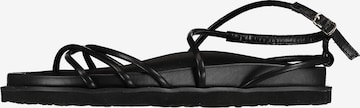 Hailys Strap Sandals 'Melek' in Black: front