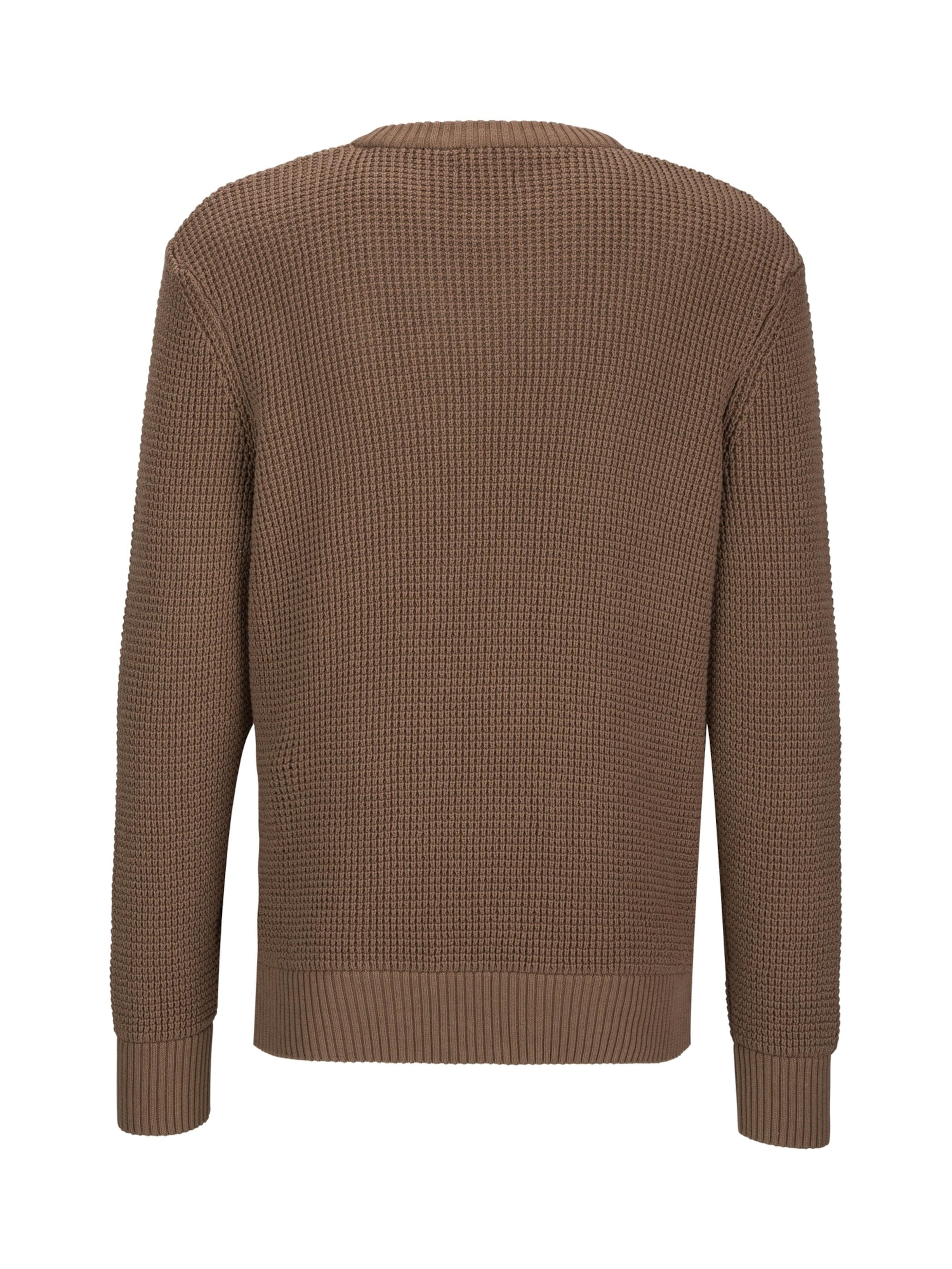 19V69 ITALIA Sweater in Brown