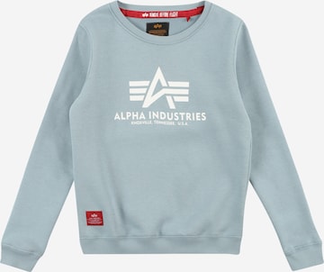 ALPHA INDUSTRIES Sweatshirt in Grey: front