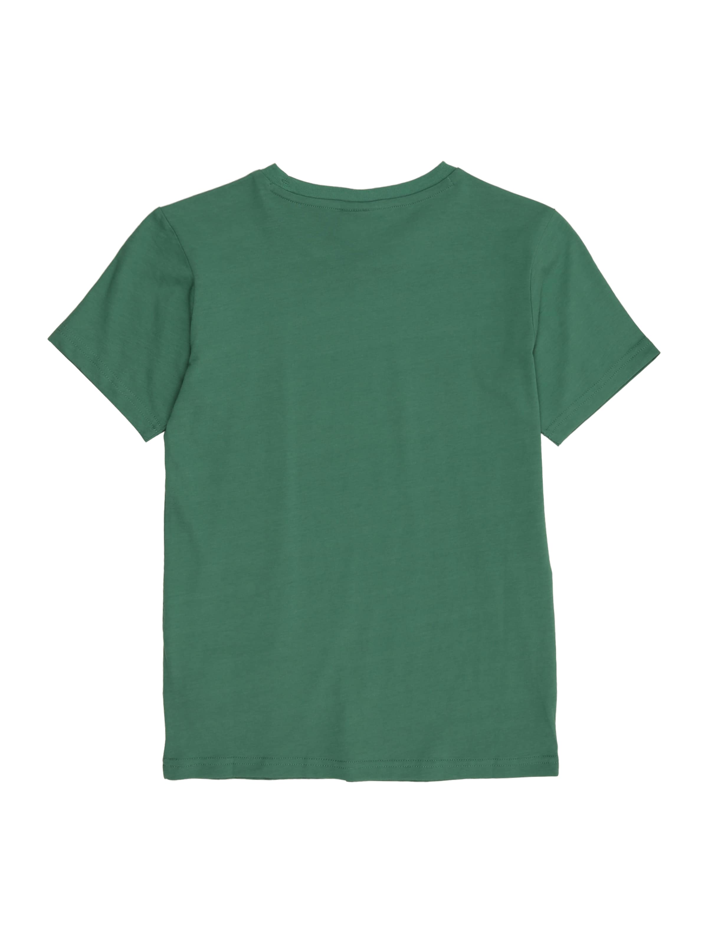 Champion Authentic Athletic Apparel Shirt in Green