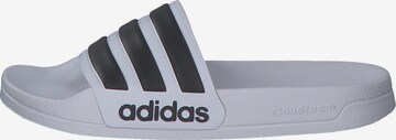 Claquettes / Tongs 'Adilette Shower' ADIDAS SPORTSWEAR en blanc