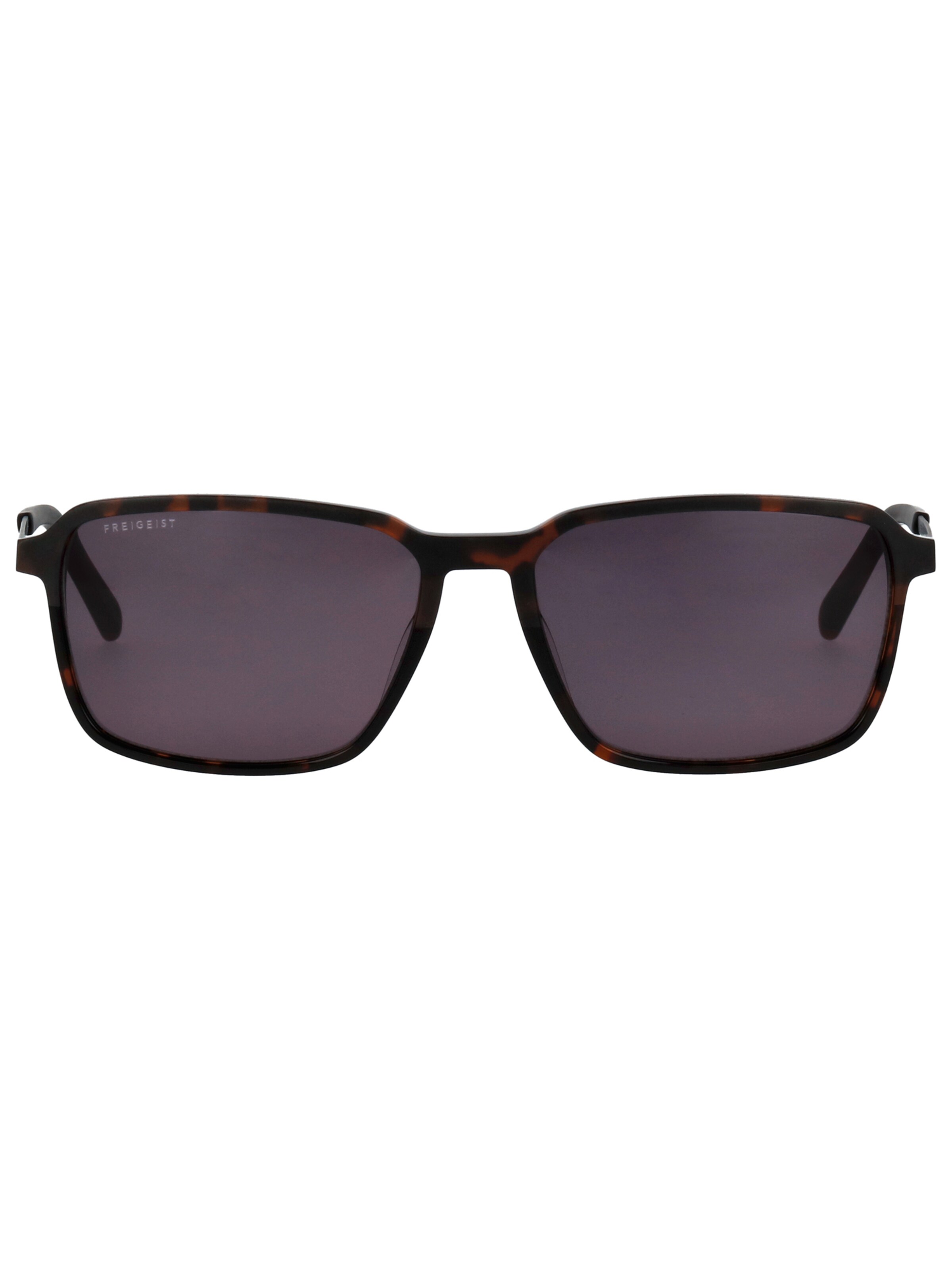 FREIGEIST Sunglasses in Brown