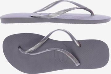 HAVAIANAS Sandals & High-Heeled Sandals in 40,5 in Grey: front