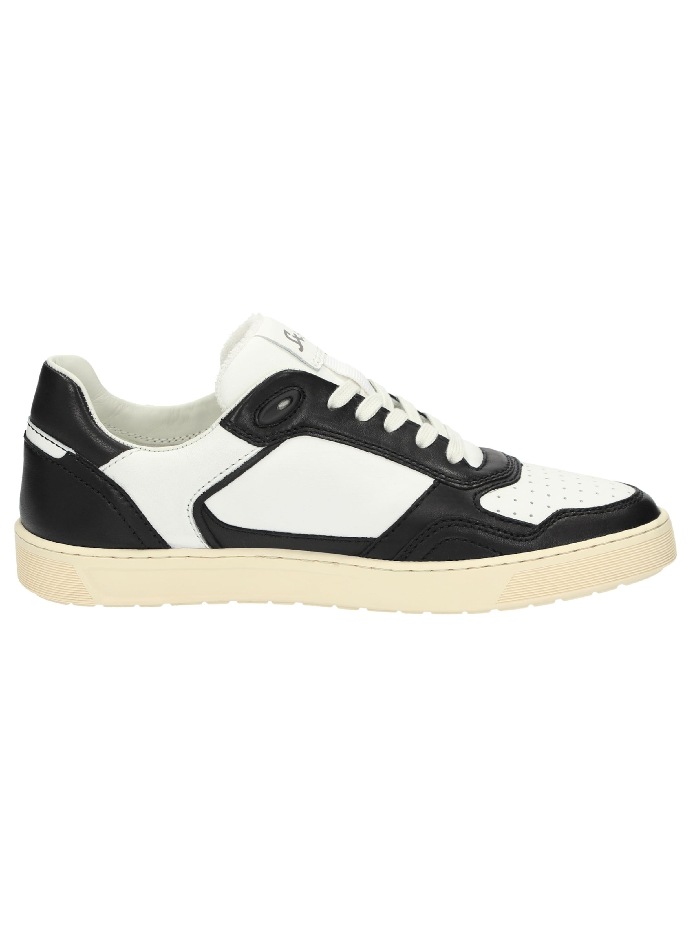 SIOUX Sneaker 'Tedroso-704' in Schwarz