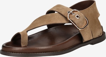 INUOVO Zehentrenner in Braun: Vorderseite