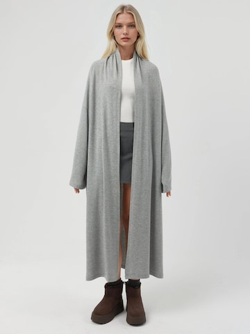 Cardigan 'Strickjacken' Busem en gris