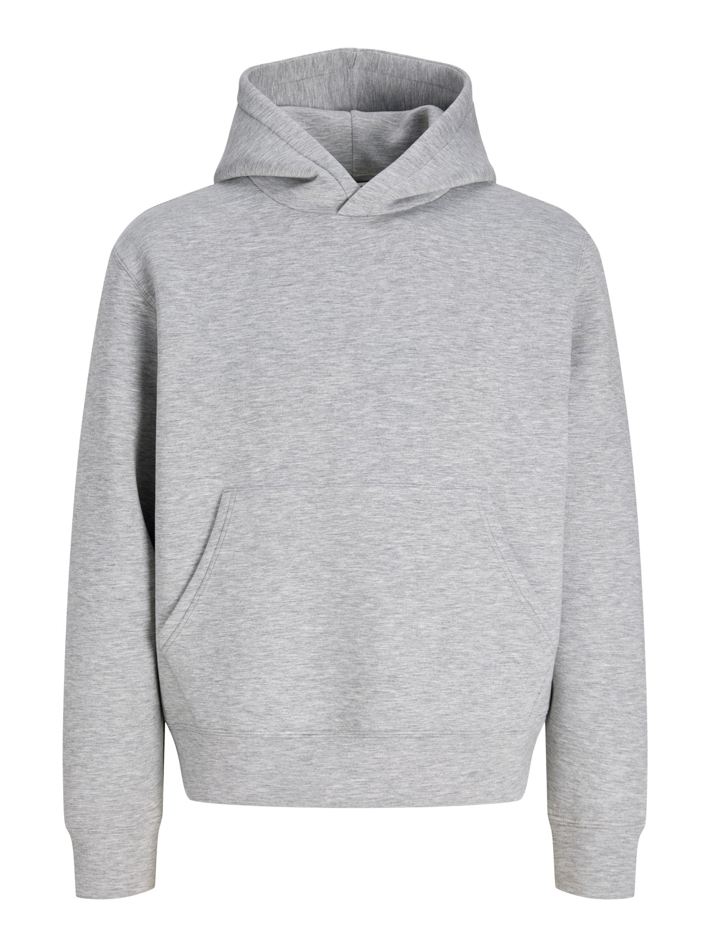 JACK & JONES Sweatshirt 'JCOLEGACY' in Grey: front