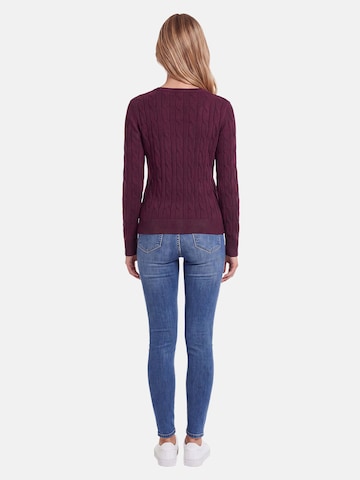U.S. POLO ASSN. Sweater in Purple