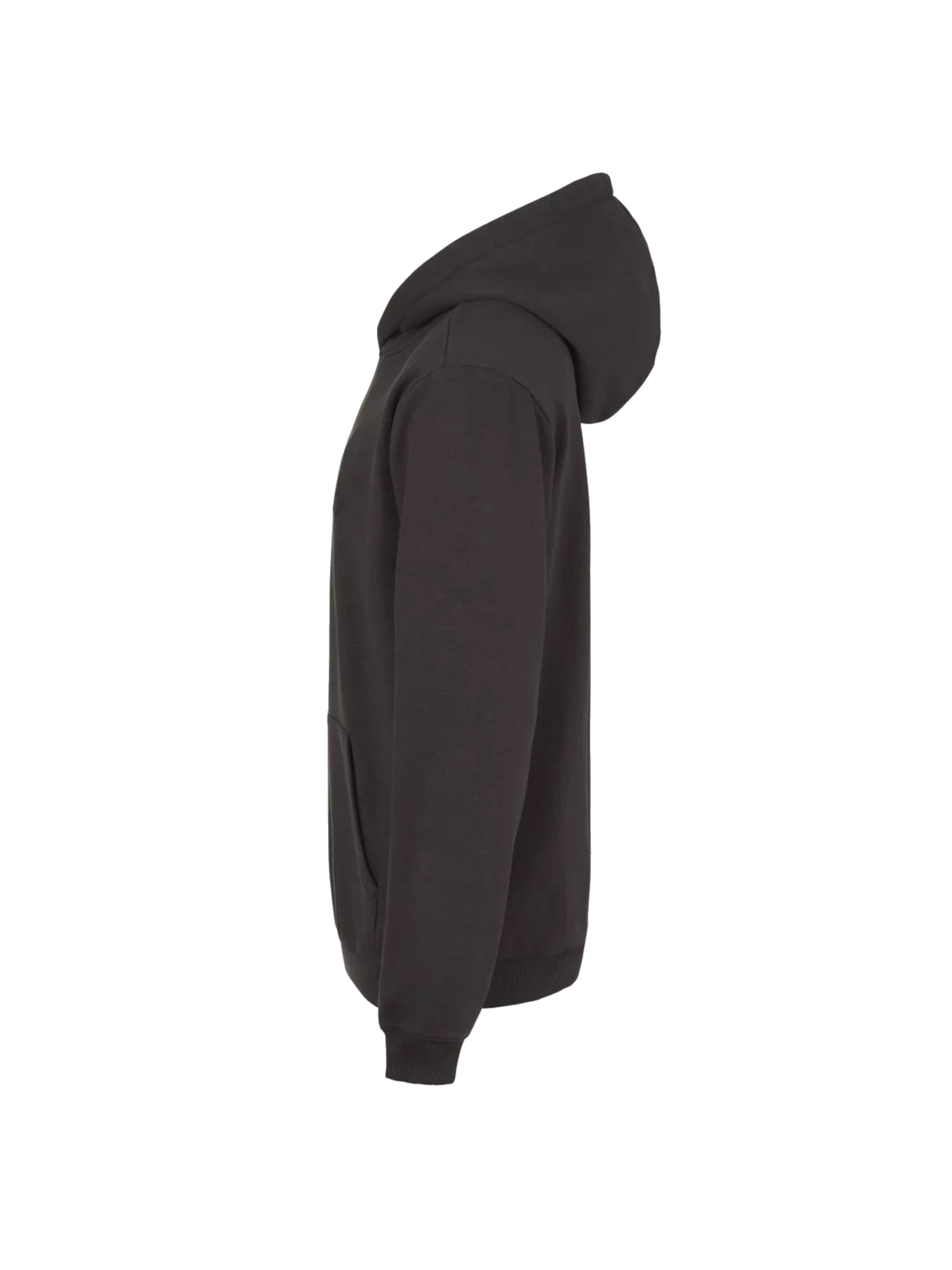 FILA Sweatshirt 'Fila Bischkek Hoody' in Black