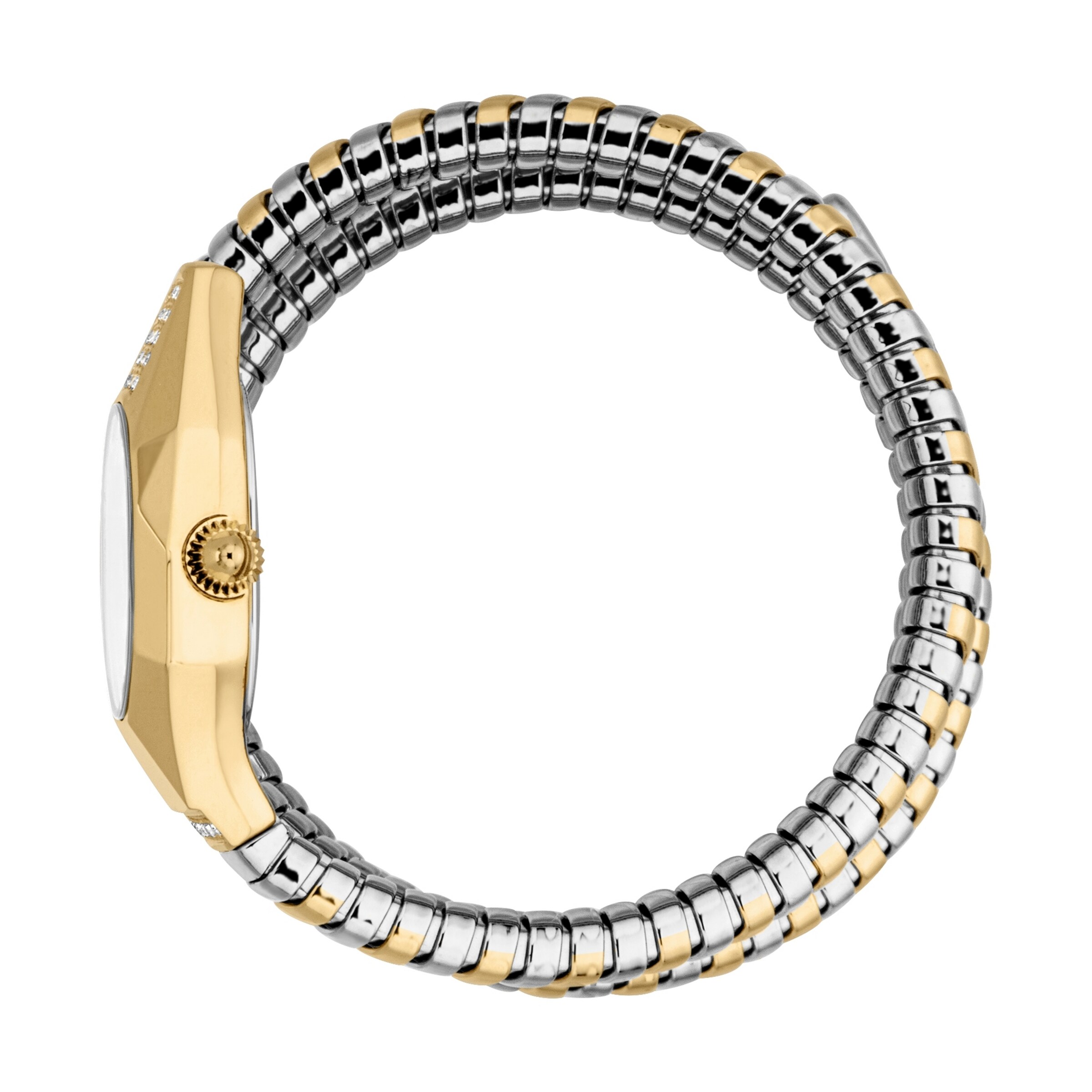 Just Cavalli Time Analog Watch in Gold