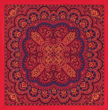 Foulard 'YOUNG PAISLEY NICKY' Roeckl en mélange de couleurs : devant