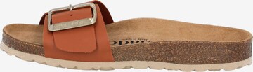 Palado Mules 'Malta EGS' in Brown