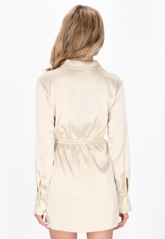 usha BLACK LABEL Avondjurk in Beige