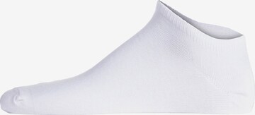 Șosete de la Polo Ralph Lauren pe alb