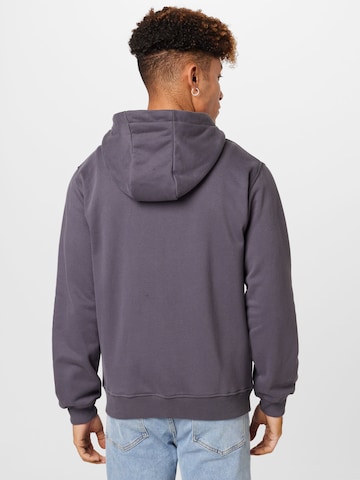 Lake View Zip-Up Hoodie 'Roman' in Grey