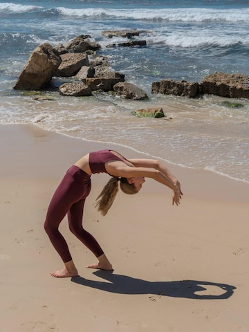 ZUBEK Sportpak 'Seacell Set' in Rood