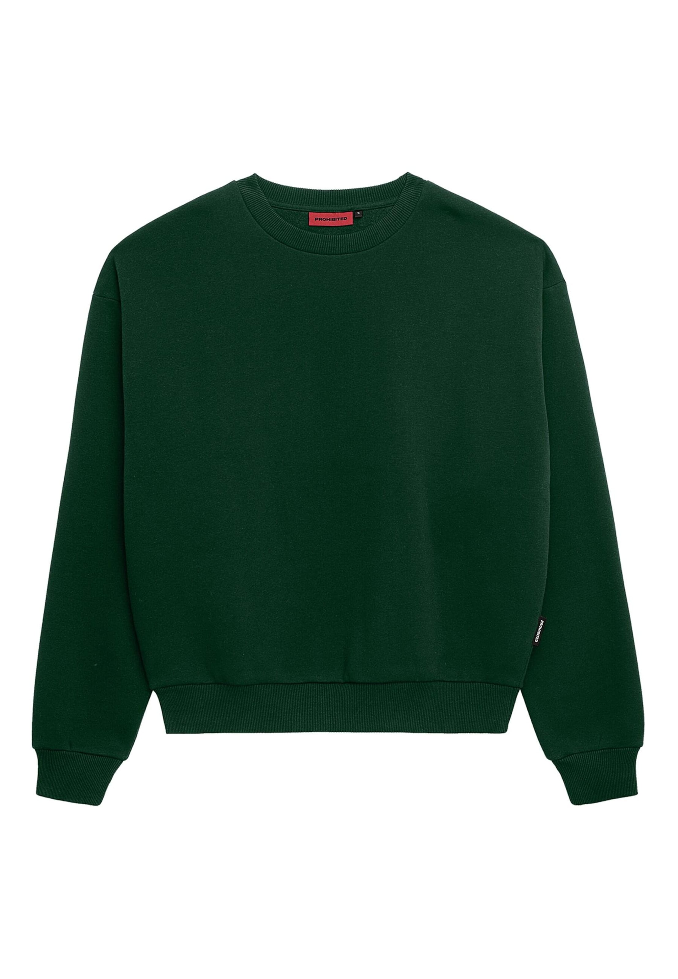 Prohibited Μπλούζα φούτερ σε πράσινο: μπροστά