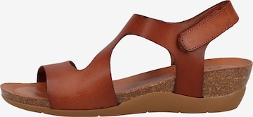 COSMOS COMFORT Strap Sandals in Brown: front