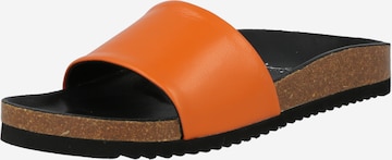 SUNSHINE - Zapatos abiertos 'Jula' en naranja: frente