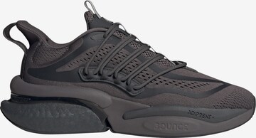 ADIDAS SPORTSWEAR Running shoe 'Alphaboost V1' in Grey