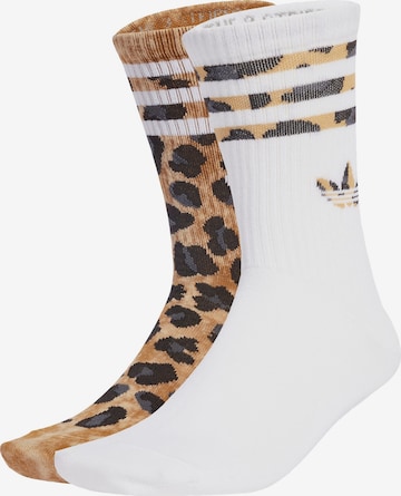 ruda ADIDAS ORIGINALS Kojinės 'Leopard Crew 2 Pairs': priekis