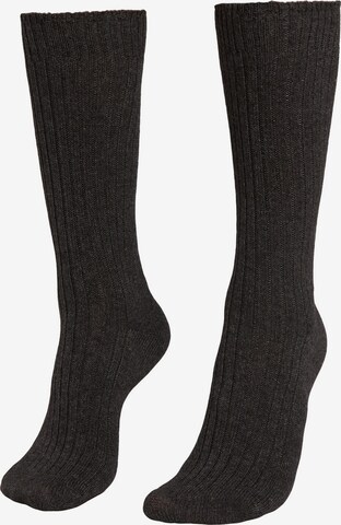 CALZEDONIA Socken in Grau: predná strana