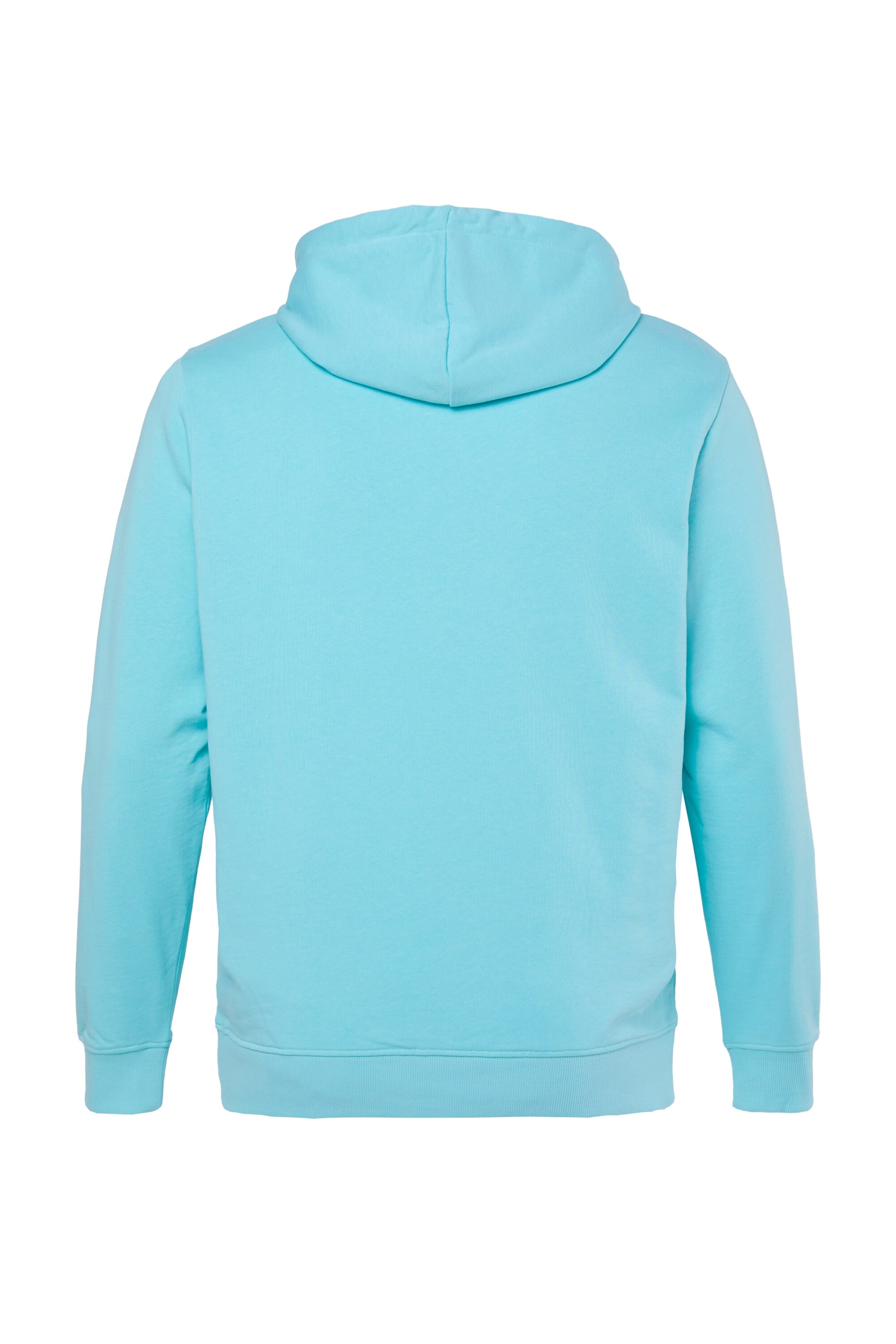 Men Plus Sweatshirt in Grün