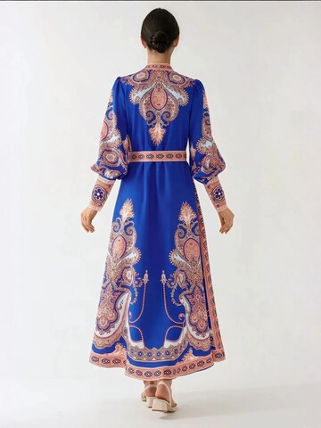 Abito da sera di Hiccup in blu