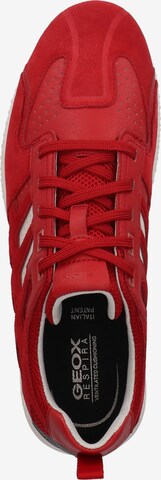 GEOX Sneaker in Rot