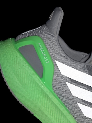 ADIDAS PERFORMANCETenisice za trčanje 'Pureboost 5' - siva boja