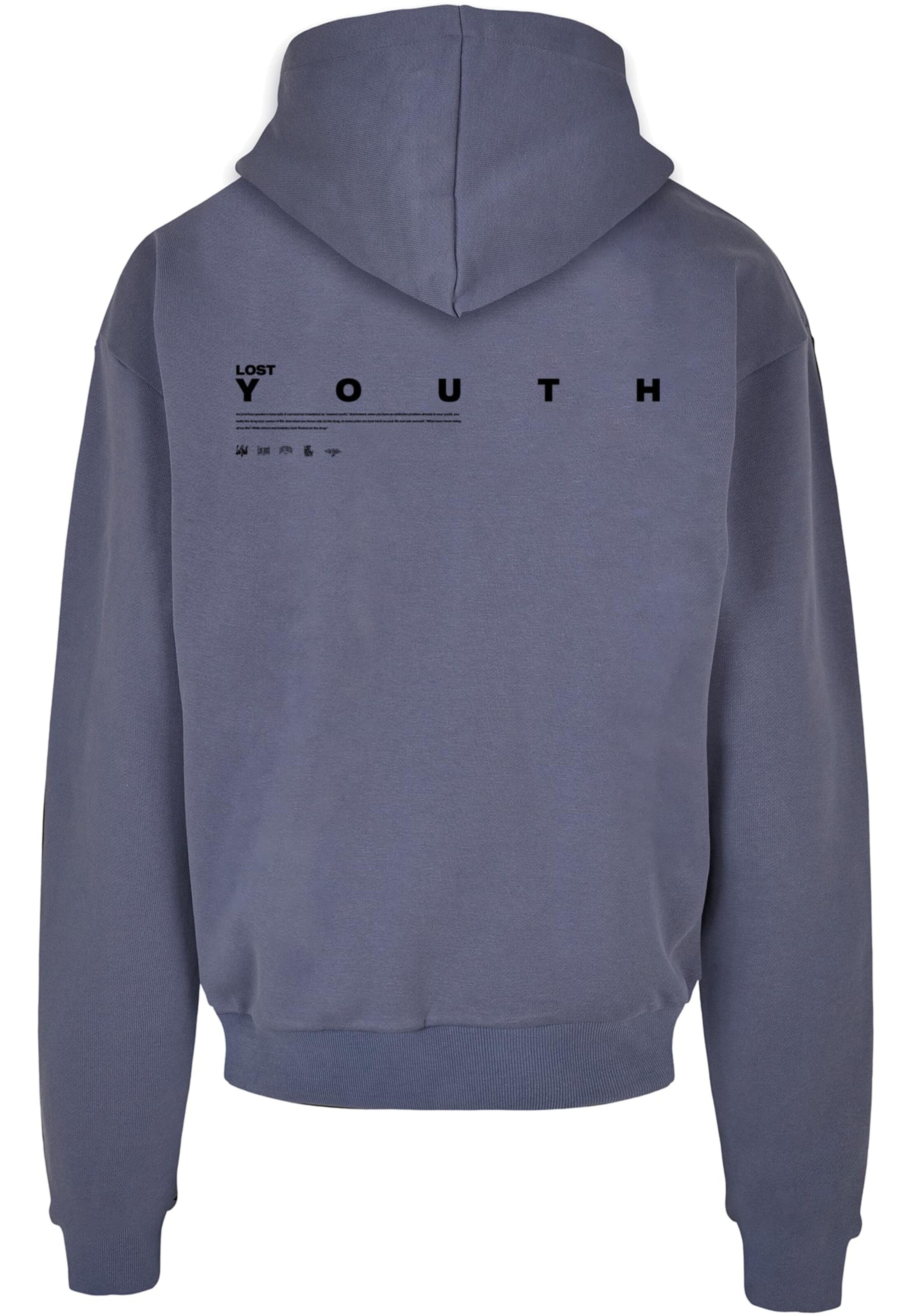 Lost Youth Sweatshirt 'DOVE' i blå