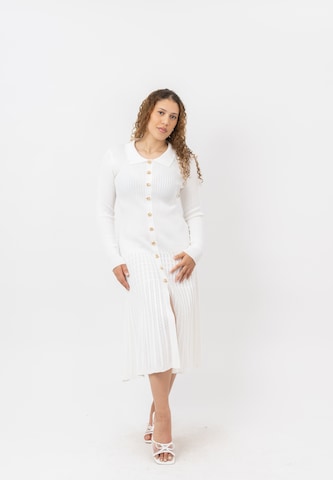 Elara Knit dress in White