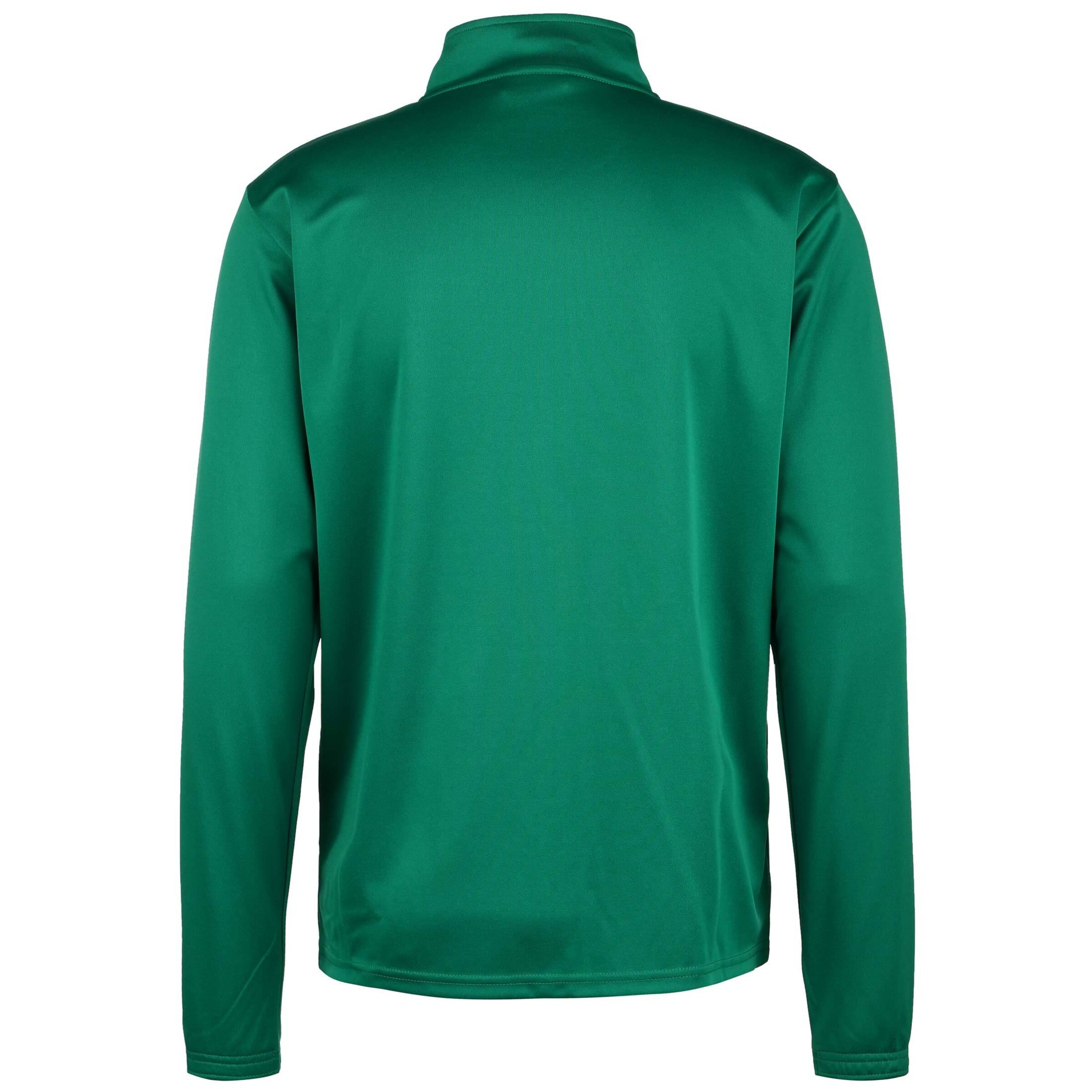 PUMA Training Jacket 'TeamRise' in Green