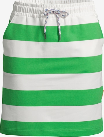 salzhaut Skirt 'PASTÜRSCHE' in Green: front