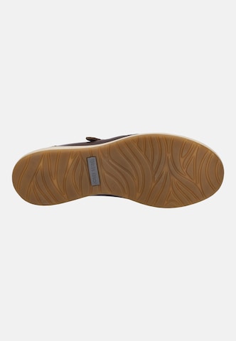 JOSEF SEIBEL Slipper 'Caren 23' in Braun