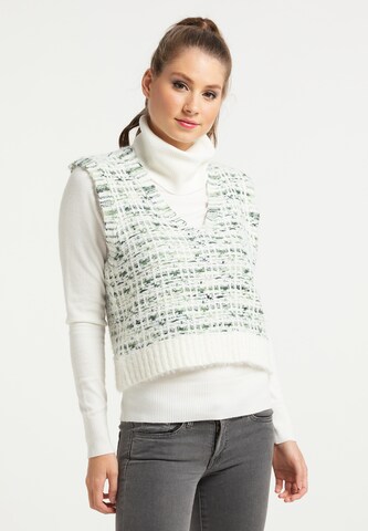 myMo NOW Sweater in Green: front