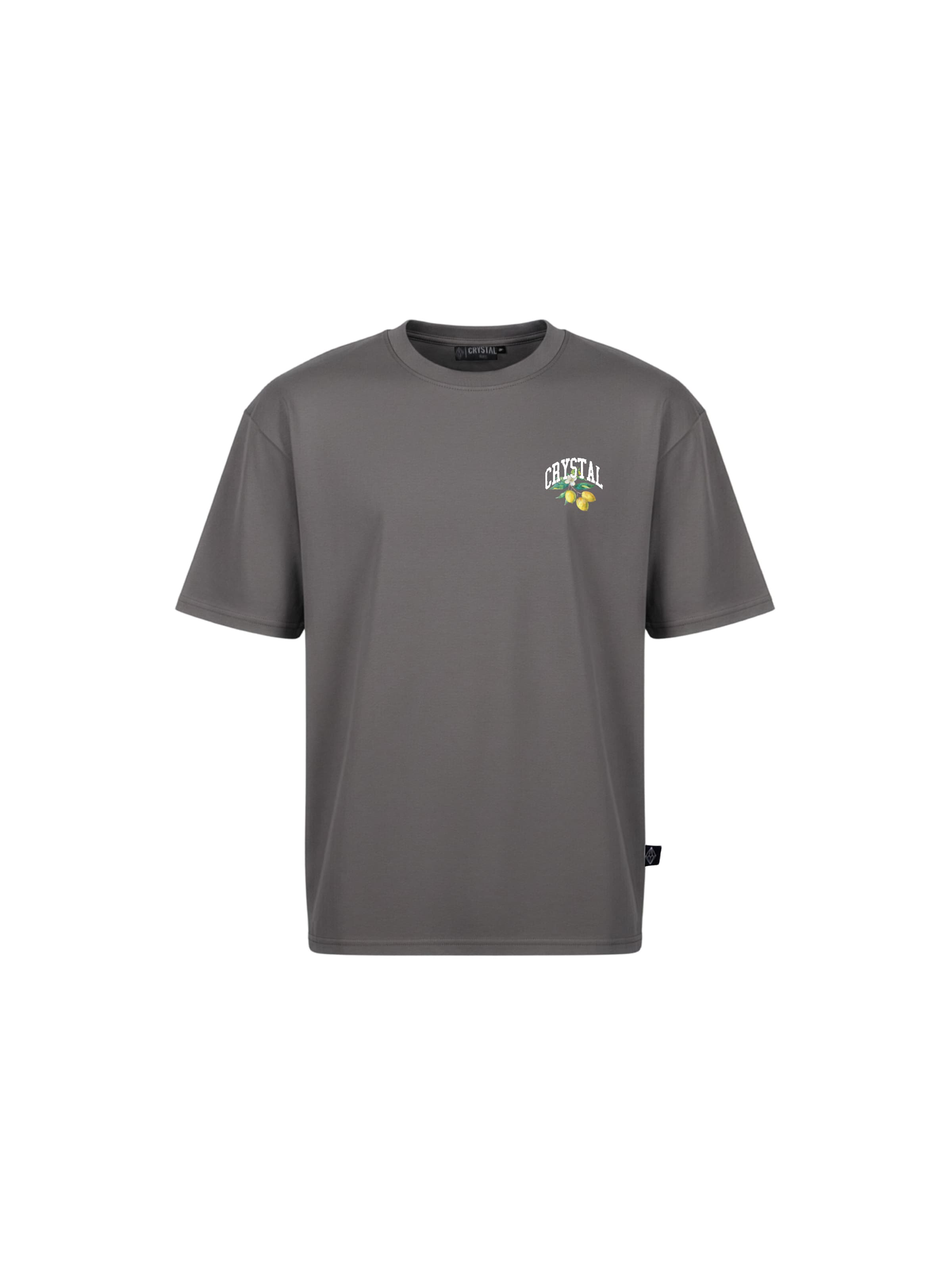 Crystal Paris Shirt 'Polo Club' in Grey: front