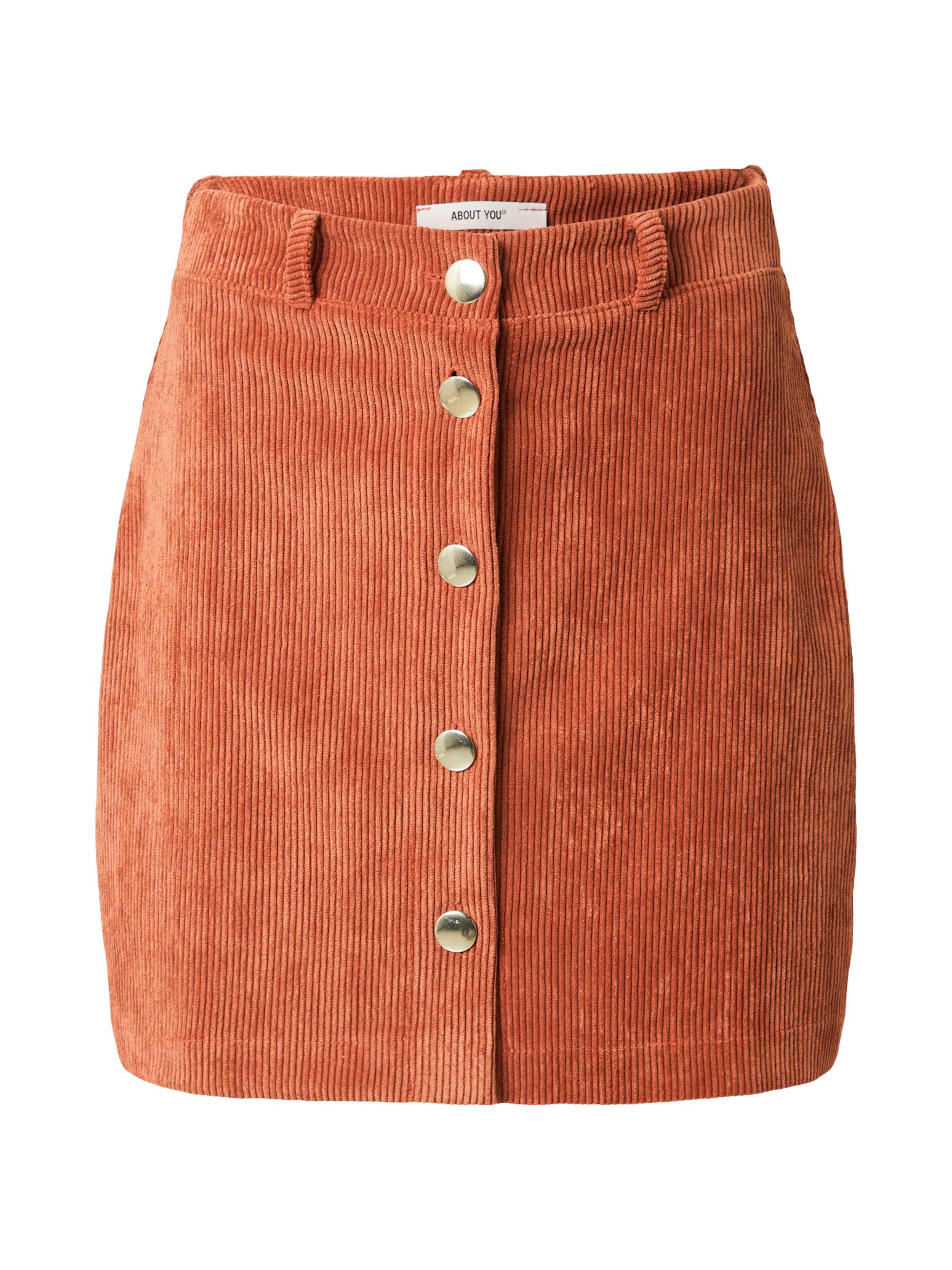 ABOUT YOU Skirt 'Clarissa' in Brown: front