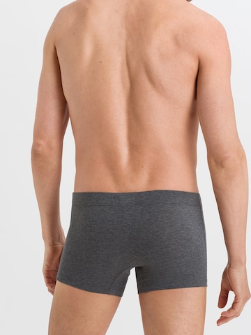 Hanro 2er-Pack 'Cotton Essentials' in Grau