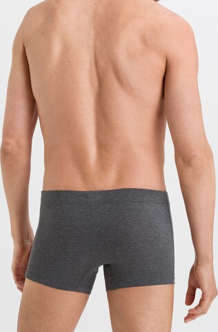 Hanro Boxer shorts 'Cotton Essentials' in Grey