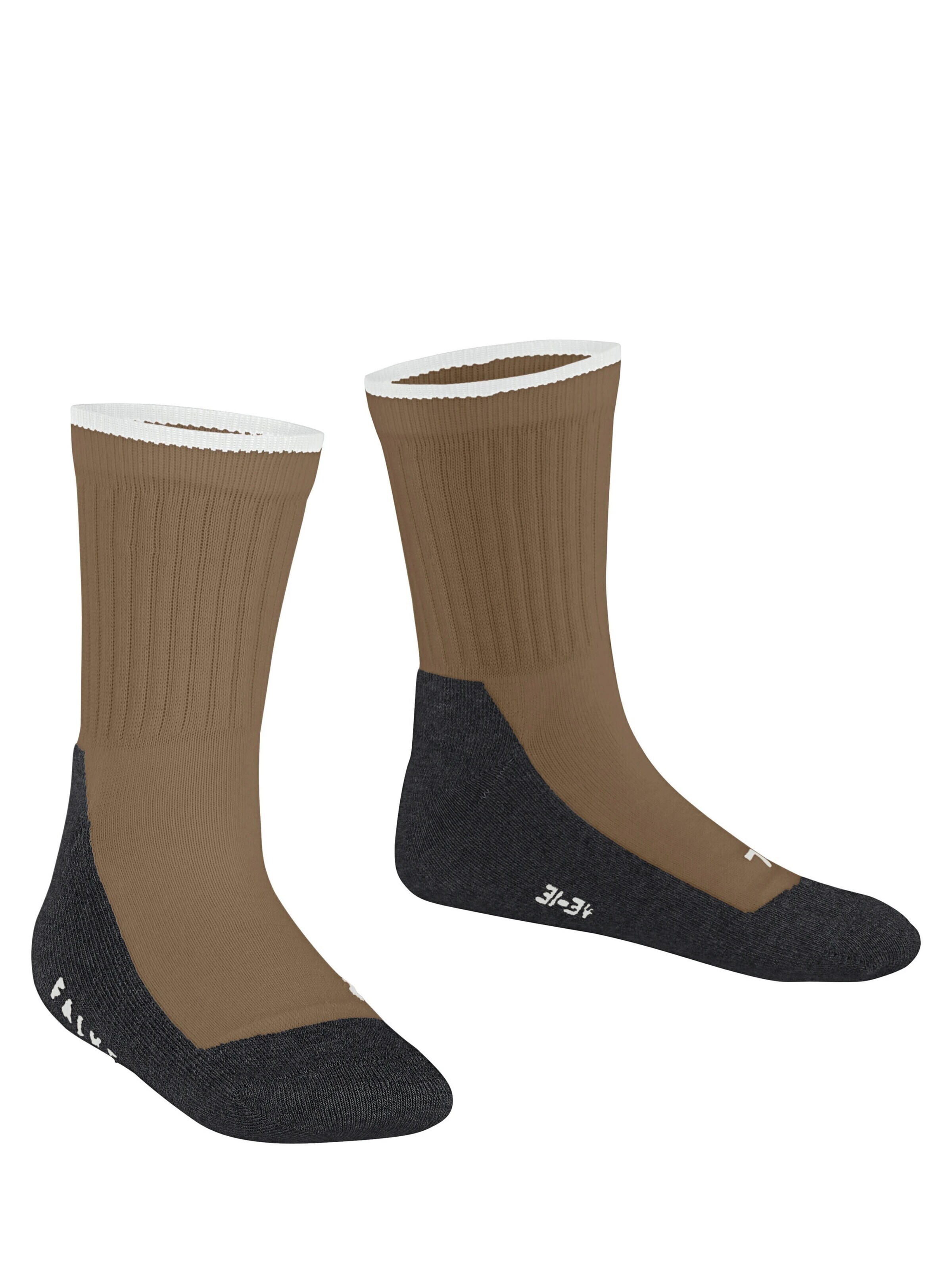 FALKE Socks 'Active Everyday' in Beige