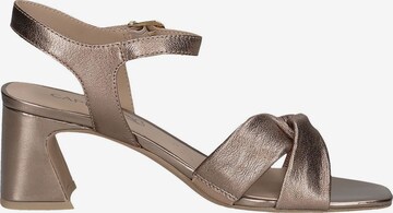 CAPRICE Sandalen met riem in Bruin