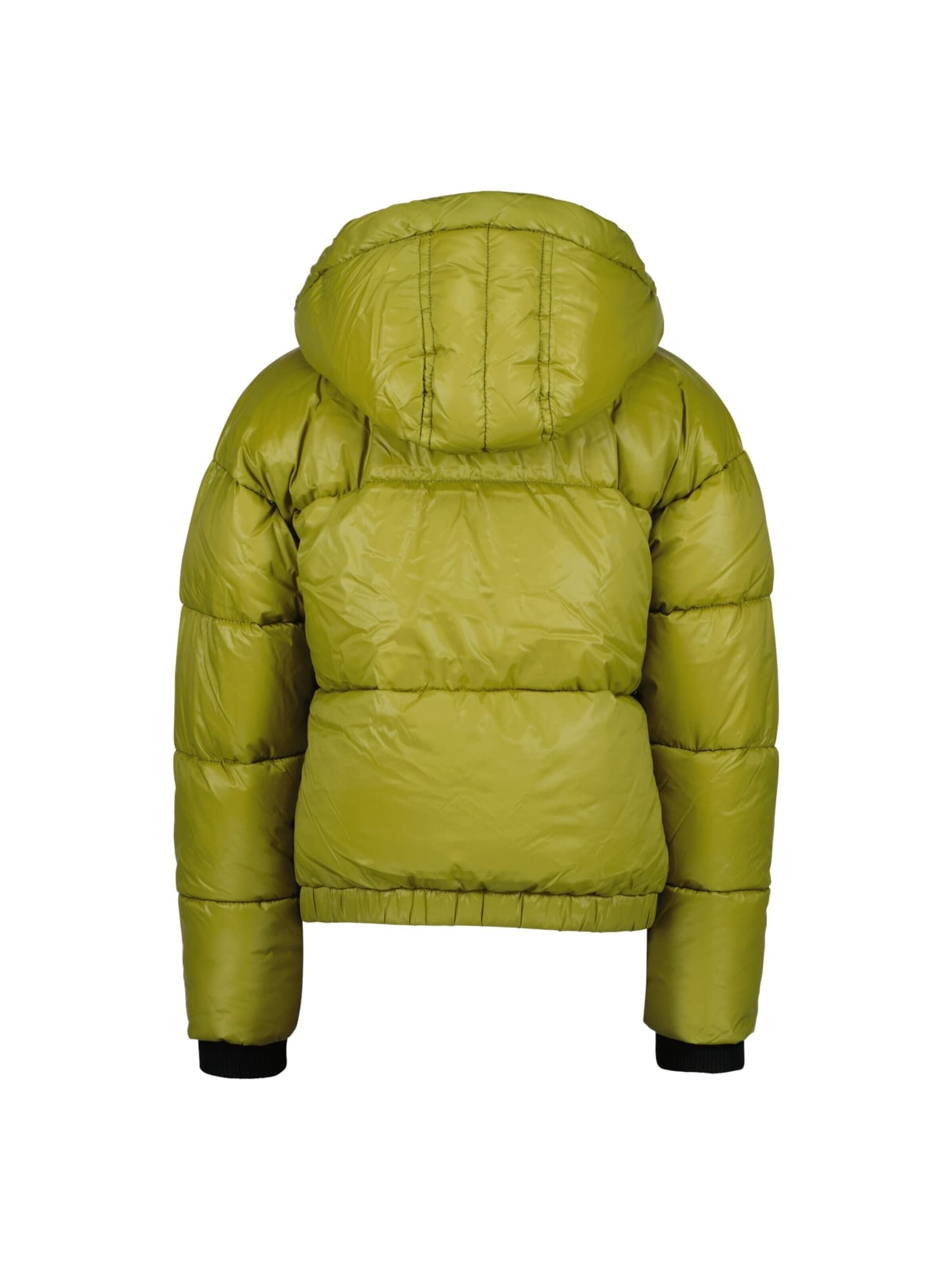 Raizzed Winter jacket in Green