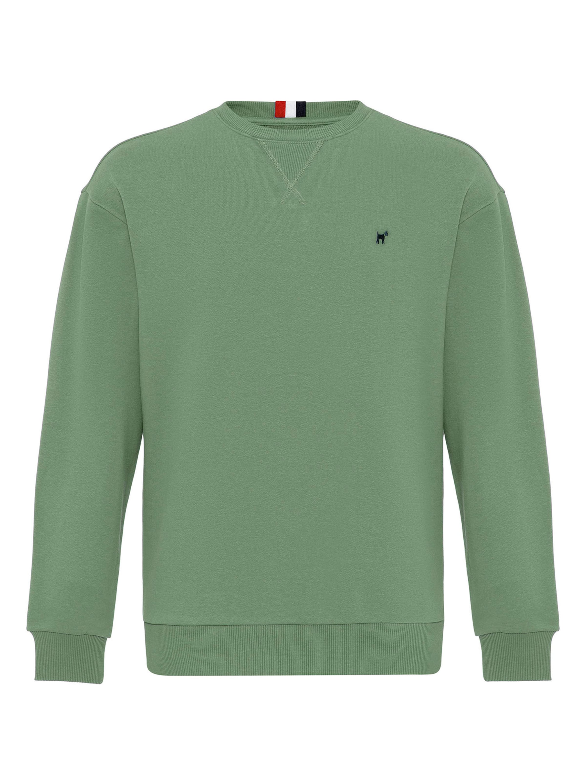 Williot Μπλούζα φούτερ σε πράσινο: μπροστά